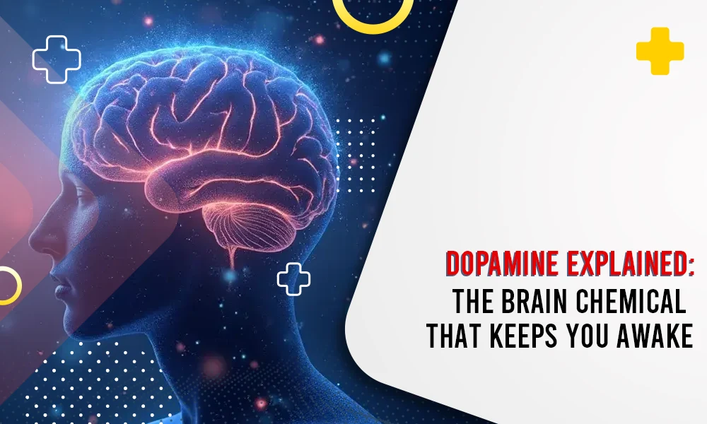 Dopamine explained brain chemical that keeps you awake