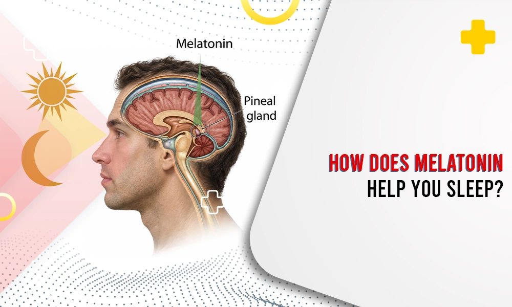 Melatonin and Sleep Cycle