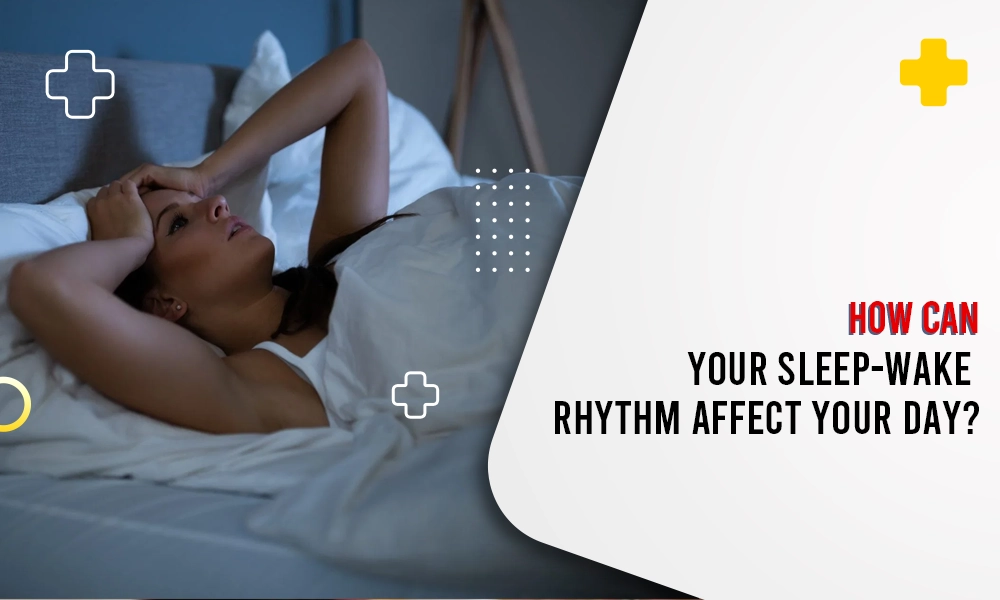 Sleep-wake rhythm and its impact on daily alertness